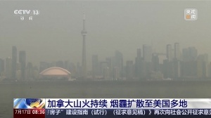 重磅NBA森林狼vs鹈鹕进球集锦_重磅NBA森林狼vs鹈鹕进球集锦在线观看_免费看直播