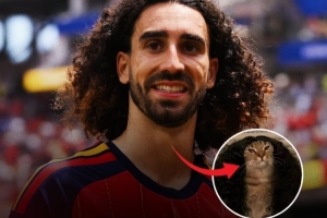 今日巴拿马vs英格兰直播今日赛程高清流畅_今日巴拿马vs英格兰直播今日赛程高清流畅在线观看_免费看直播